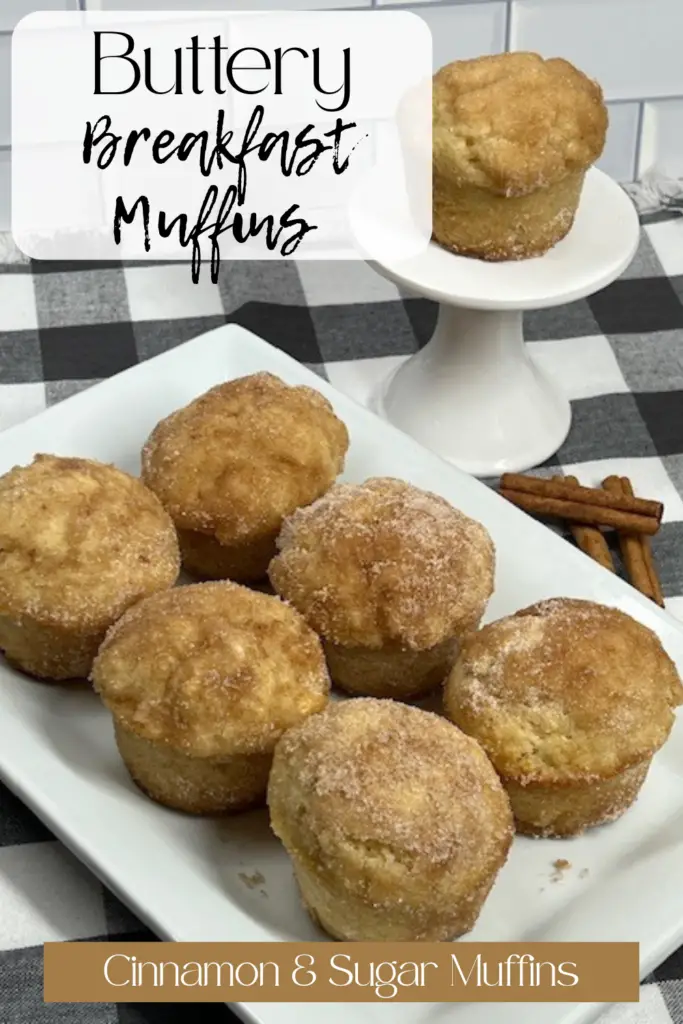 Warm homemade French breakfast muffins with cinnamon sugar coating.