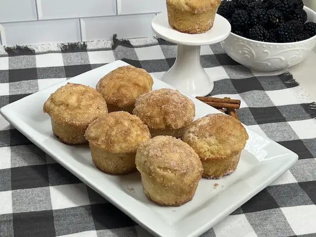 Tender cinnamon sugar muffins served warm for breakfast.