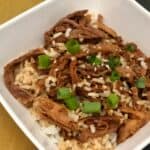 Slow Cooker Shredded Pork Loin