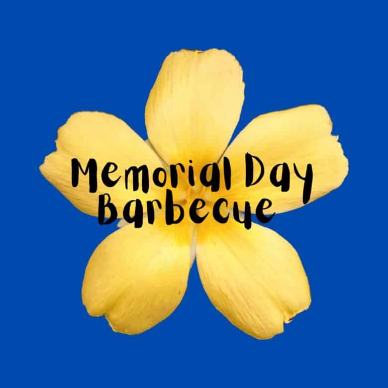 Memorial Day Barbecue