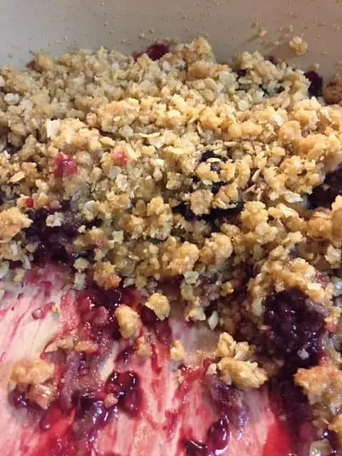 Sweet Blackberry Crisp is so good and easy to put together. You will love the blackberries with the warm oatmeal and brown sugar mixture on top! #Cobbler #BerryCrisp #EasyDessert