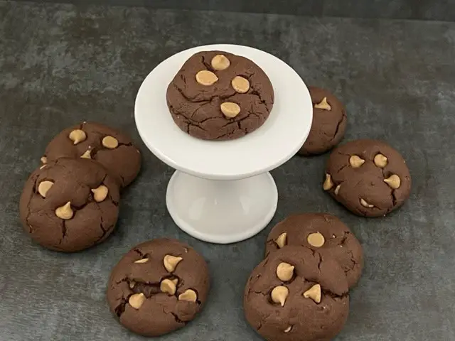 Chocolate Peanut Butter Cookies