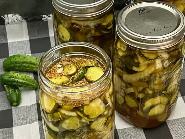 Refrigerator Bread and Butter Pickles are easy and yummy! They are a great way to use garden cucumbers, too. #Pickles #BreadAndButterPickles #HomemadePickles #GardenCucumbers #RefrigeratorPickles