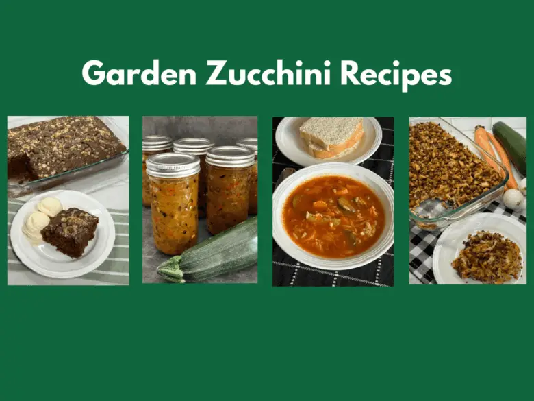 Easy Garden Zucchini Recipes